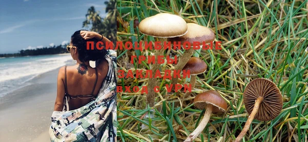 PSILOCYBIN Струнино