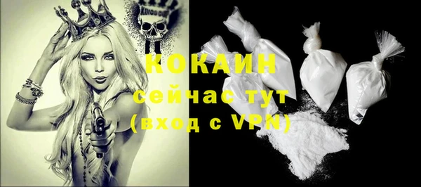 PSILOCYBIN Струнино