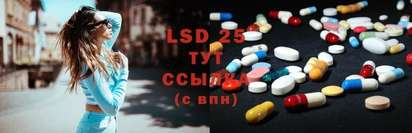 PSILOCYBIN Струнино