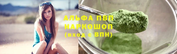 PSILOCYBIN Струнино