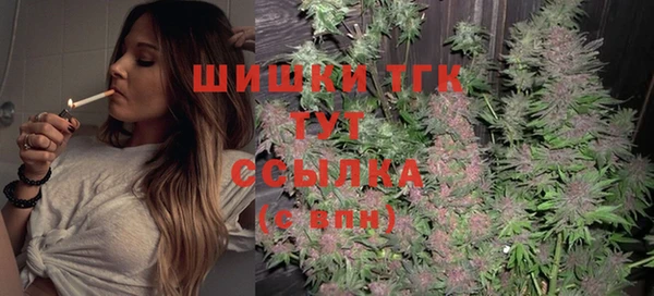 PSILOCYBIN Струнино