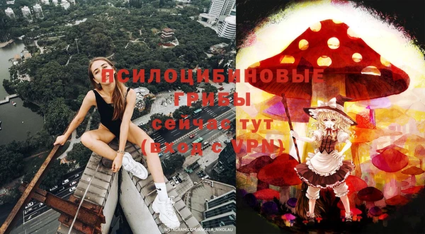 PSILOCYBIN Струнино