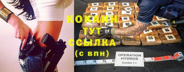 PSILOCYBIN Струнино