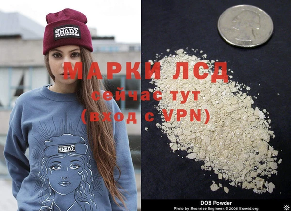 СК Ступино