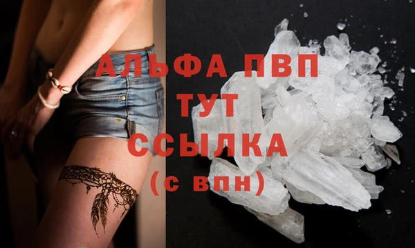 PSILOCYBIN Струнино