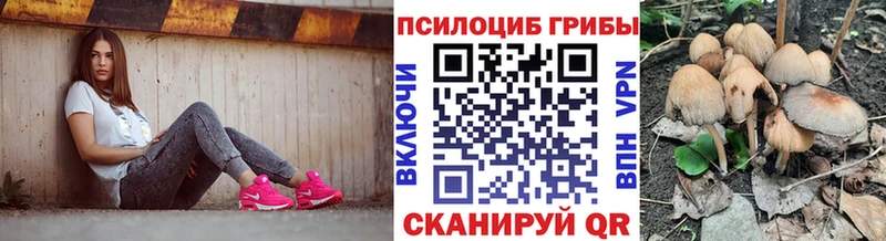 Галлюциногенные грибы мицелий  Нестеровская 