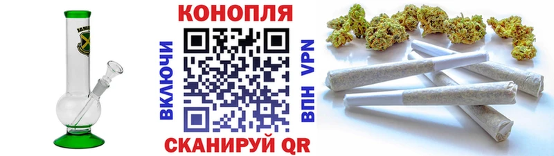 как найти наркотики  Нестеровская  Конопля Ganja 